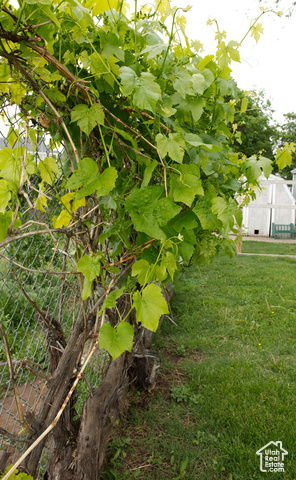 Photo 73 for MLS #2103361 at 4891 S 2875 West