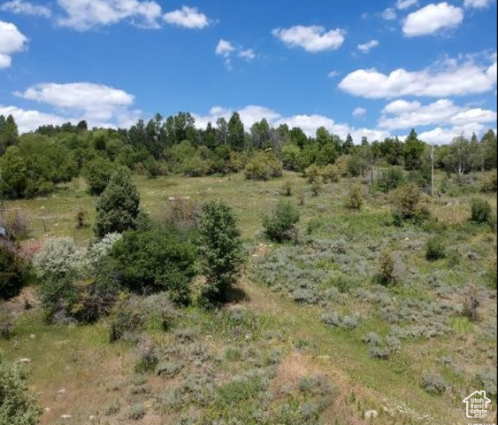 13184 E EVERGREEN PARK DR, Huntsville UT 84317