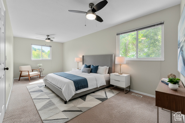 Photo 11 for MLS #2103414 at 889 S Clover Cir