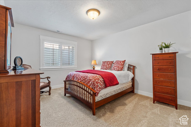 Photo 36 for MLS #2103521 at 10858 S Porcini Dr