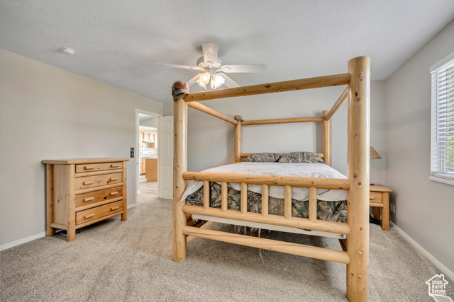 Photo 17 for MLS #2103623 at 6298 W Liza Ln