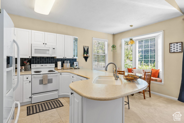 Photo 9 for MLS #2103631 at 9083 S Enchanted Oak Ln