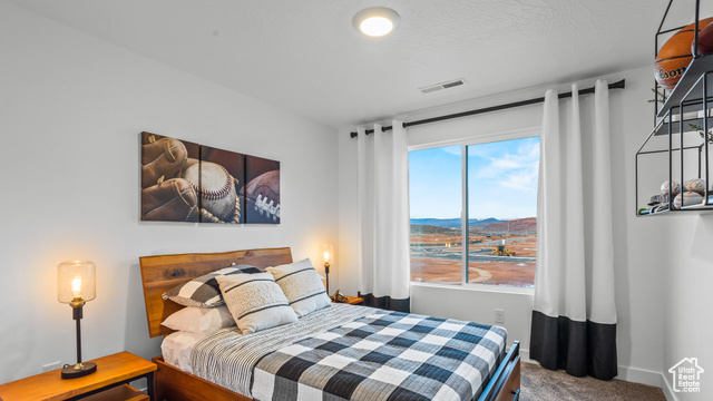 Photo 55 for MLS #2103705 at 1485 S Wagon Box Way #82