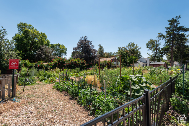 Photo 33 for MLS #2103732 at 241 E Crestone Ave #16A