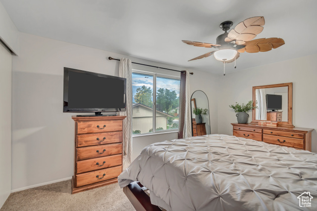 Photo 11 for MLS #2103955 at 6007 S Sweet Basil