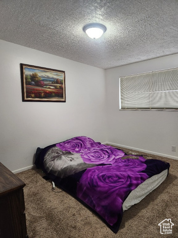 Photo 24 for MLS #2104054 at 4832 W 3850 South