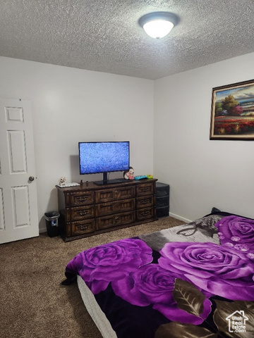 Photo 25 for MLS #2104054 at 4832 W 3850 South
