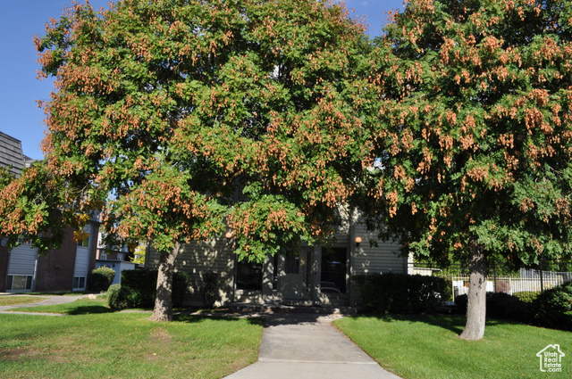 Photo 10 for MLS #2104213 at 1633 N Woodland Dr