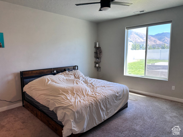 Photo 6 - 1011 S 950 West, Springville UT 84663