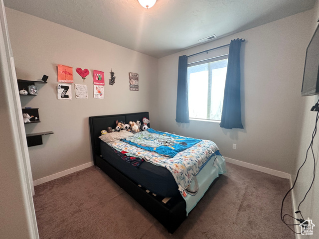 Photo 9 - 1011 S 950 West, Springville UT 84663