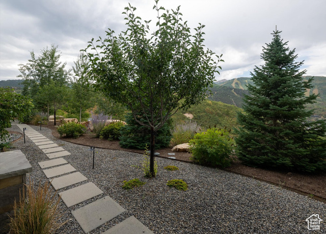 Photo 8 for MLS #2104350 at 1358 Mellow Mountain Rd