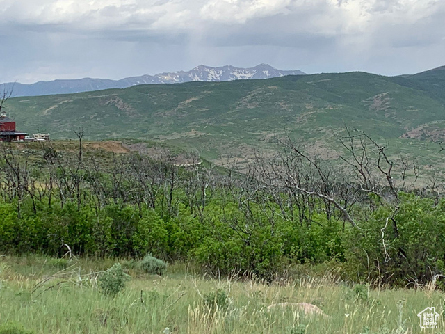 29010 N 8000 E, Fairview UT 84629