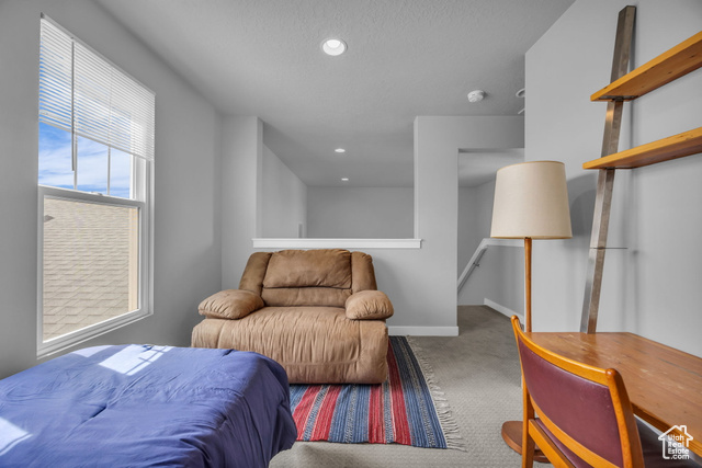 Photo 17 for MLS #2104468 at 11007 S Kestrel Rise Rd