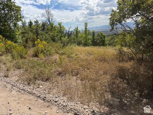 33  M JUNIPER DR, Fairview UT 84629