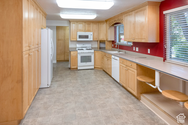 Photo 10 for MLS #2104547 at 424 E Shamrock Dr