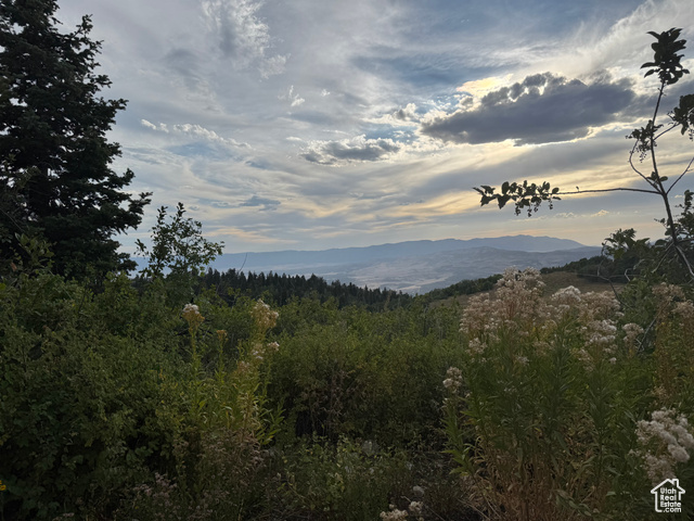 32  J CHOKECHERRY DR, Fairview UT 84629