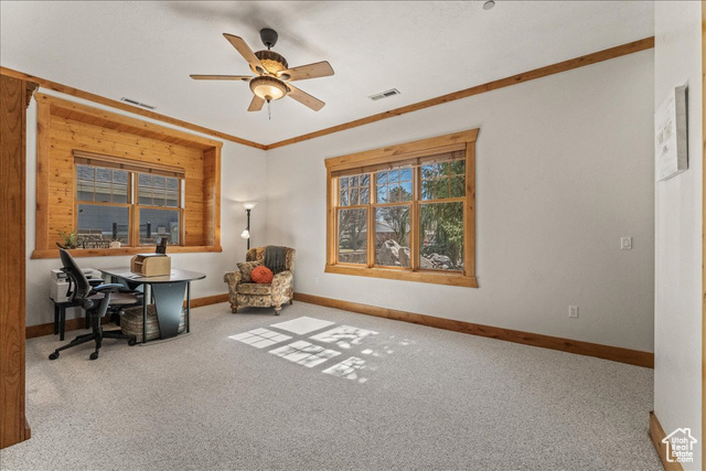 Photo 31 for MLS #2104647 at 2732 W Lizzi Cv