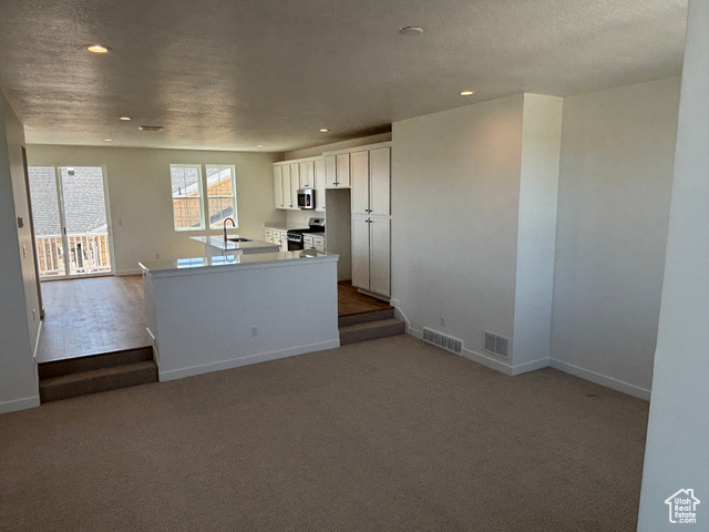 Photo 9 for MLS #2104678 at 7061 W South Jordan Pkwy
