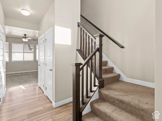 Photo 3 for MLS #2104713 at 14313 S Meadow Rose Dr