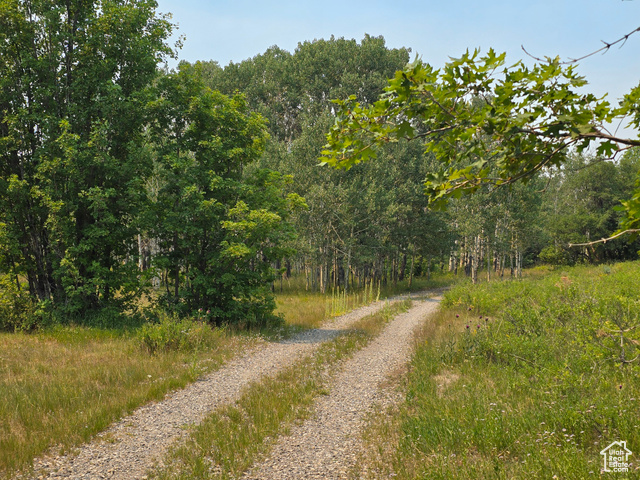 Photo 25 for MLS #2104722 at 725 E Wolf Hollow Rd