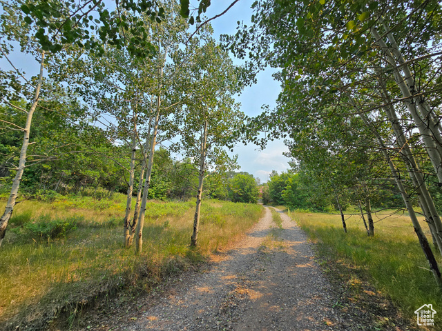 Photo 4 for MLS #2104722 at 725 E Wolf Hollow Rd