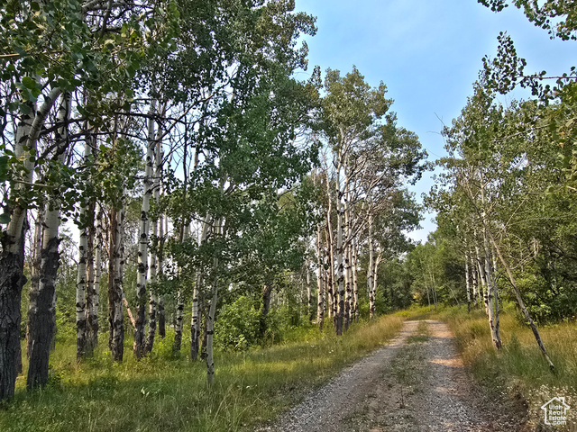 Photo 26 for MLS #2104722 at 725 E Wolf Hollow Rd