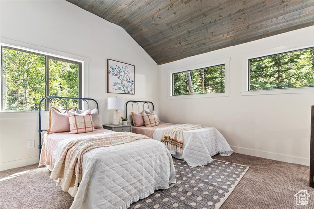 Photo 19 for MLS #2104743 at 11454 E Willow Fork Lane