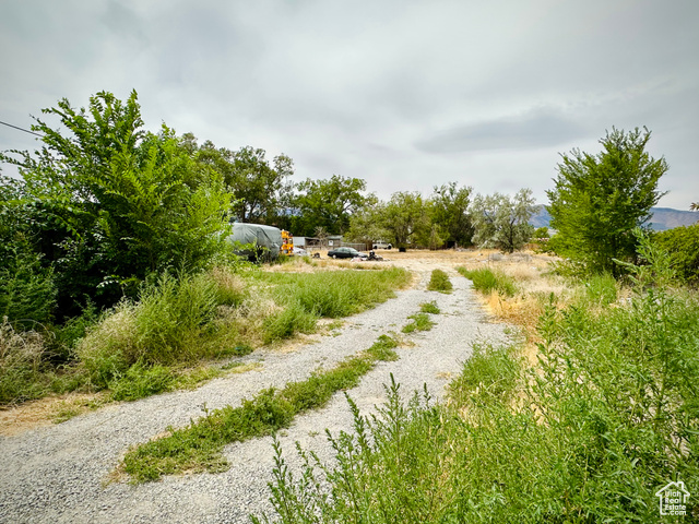 Photo 44 for MLS #2104780 at 799 E Main St