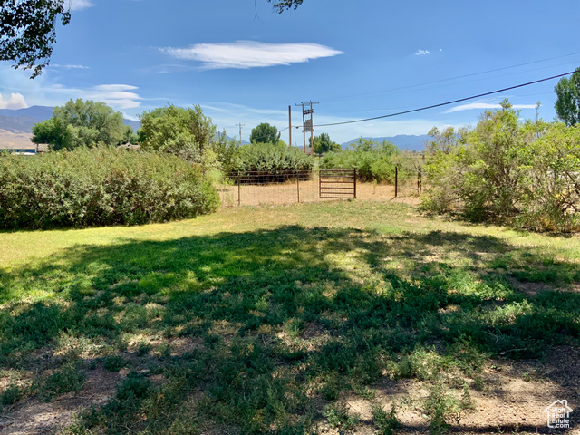 Photo 6 for MLS #2104878 at 630 N Main St