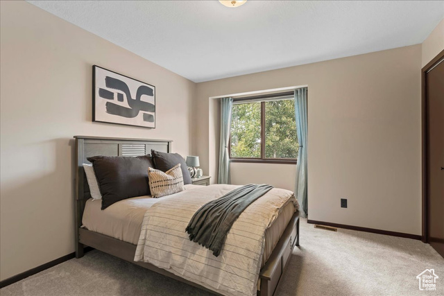 Photo 19 for MLS #2104981 at 3376 E Daneborg Dr