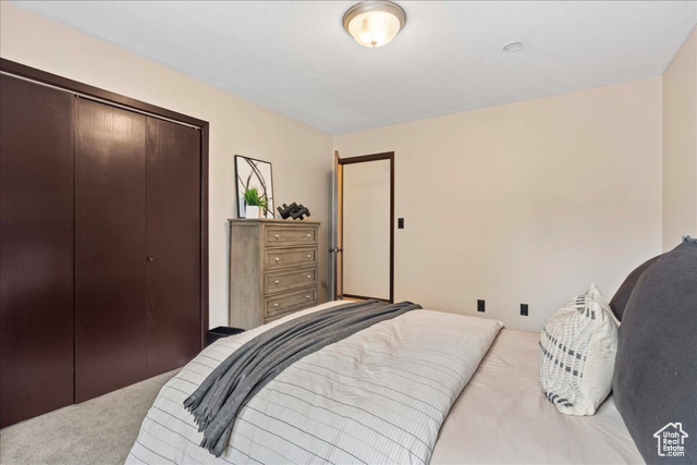 Photo 18 for MLS #2104981 at 3376 E Daneborg Dr
