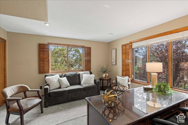 Photo 11 for MLS #2104981 at 3376 E Daneborg Dr