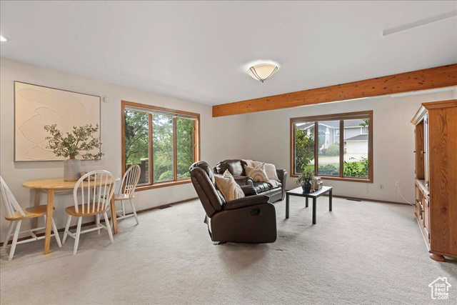 Photo 32 for MLS #2104981 at 3376 E Daneborg Dr