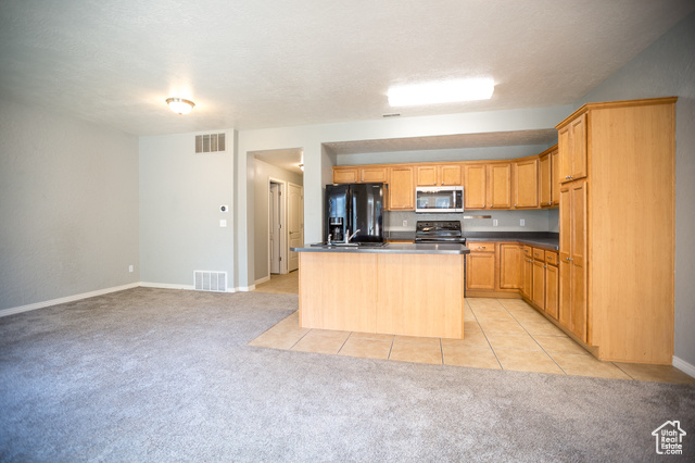 Photo 4 for MLS #2104998 at 251 E Sunshine Dr