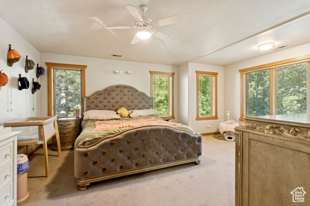 Photo 39 for MLS #2105050 at 2614 E Tuxedo Cir