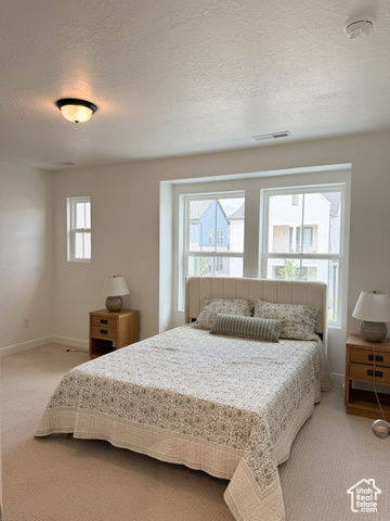 Photo 10 for MLS #2105166 at 11199 S Rummy Way #319