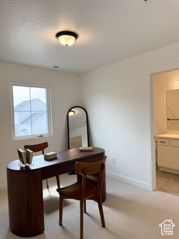 Photo 9 for MLS #2105166 at 11199 S Rummy Way #319