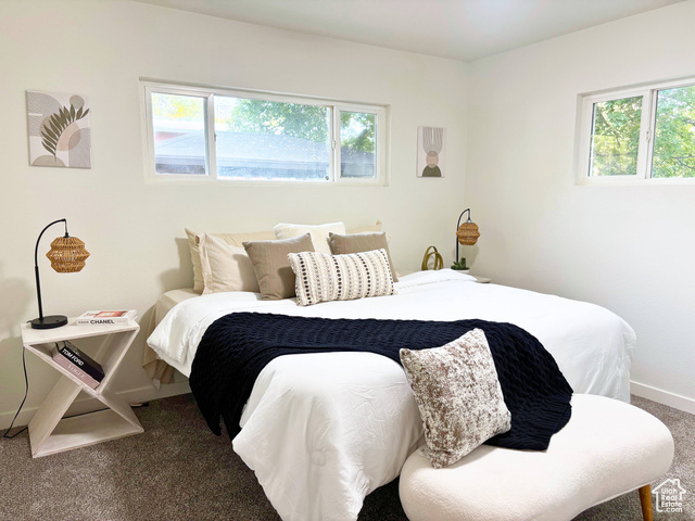 Photo 17 for MLS #2105223 at 3935 S Luetta Dr
