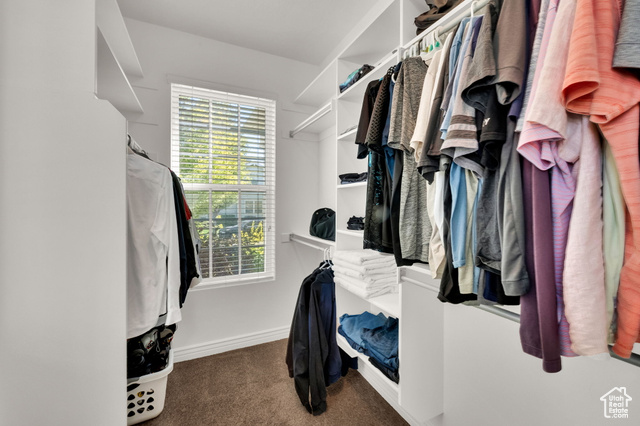 Photo 16 for MLS #2105238 at 4251 W Lake Bridge Dr