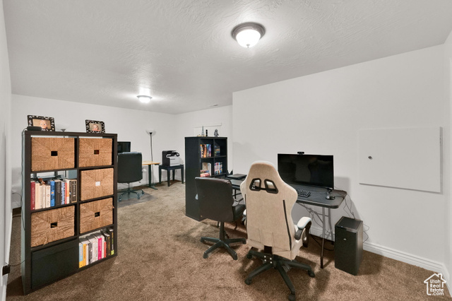 Photo 27 for MLS #2105238 at 4251 W Lake Bridge Dr