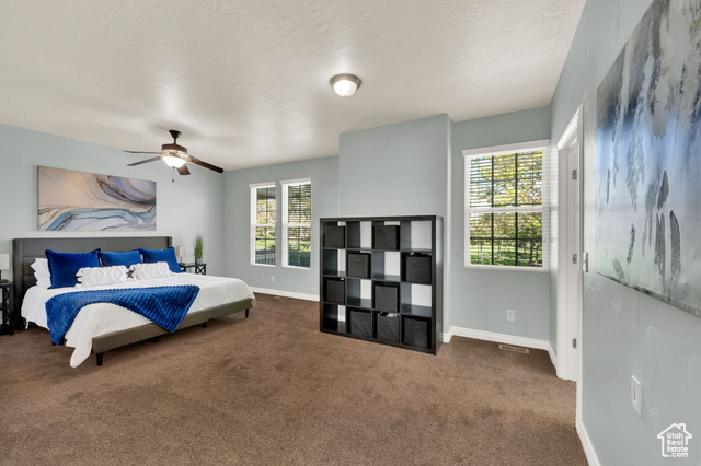 Photo 12 for MLS #2105238 at 4251 W Lake Bridge Dr