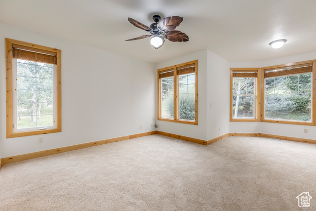 Photo 15 for MLS #2105259 at 265 N Alpenhof Ct