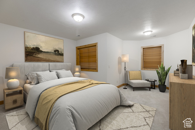 Photo 38 for MLS #2105259 at 265 N Alpenhof Ct