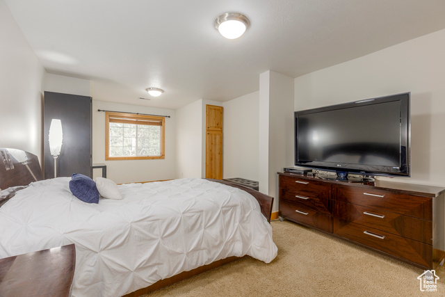 Photo 25 for MLS #2105259 at 265 N Alpenhof Ct
