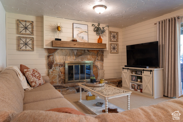 Photo 21 for MLS #2105279 at 9673 S Chylene Dr
