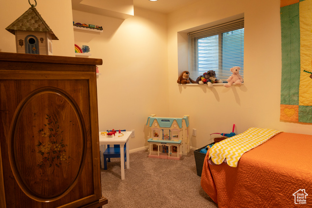 Photo 39 for MLS #2105279 at 9673 S Chylene Dr