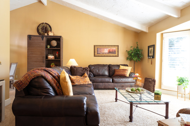 Photo 10 for MLS #2105279 at 9673 S Chylene Dr