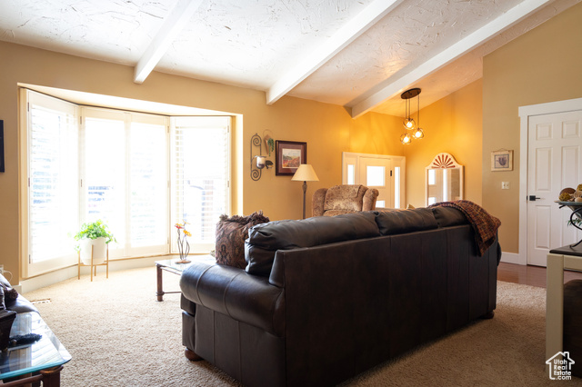 Photo 12 for MLS #2105279 at 9673 S Chylene Dr