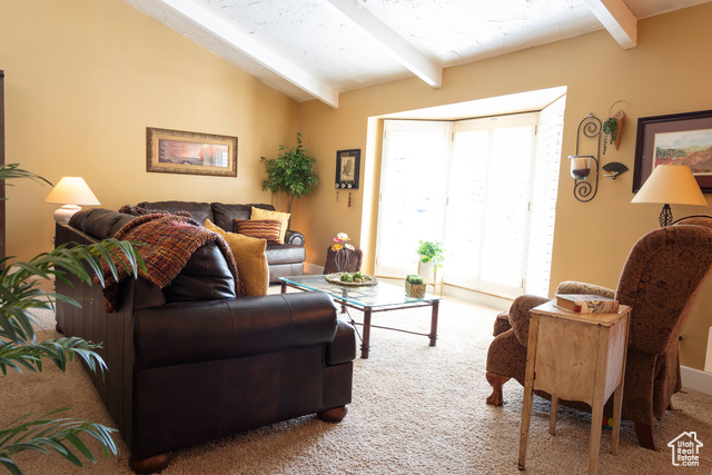 Photo 9 for MLS #2105279 at 9673 S Chylene Dr