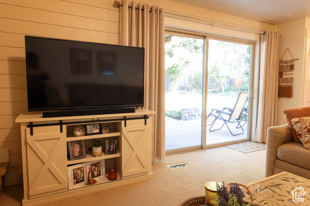 Photo 22 for MLS #2105279 at 9673 S Chylene Dr